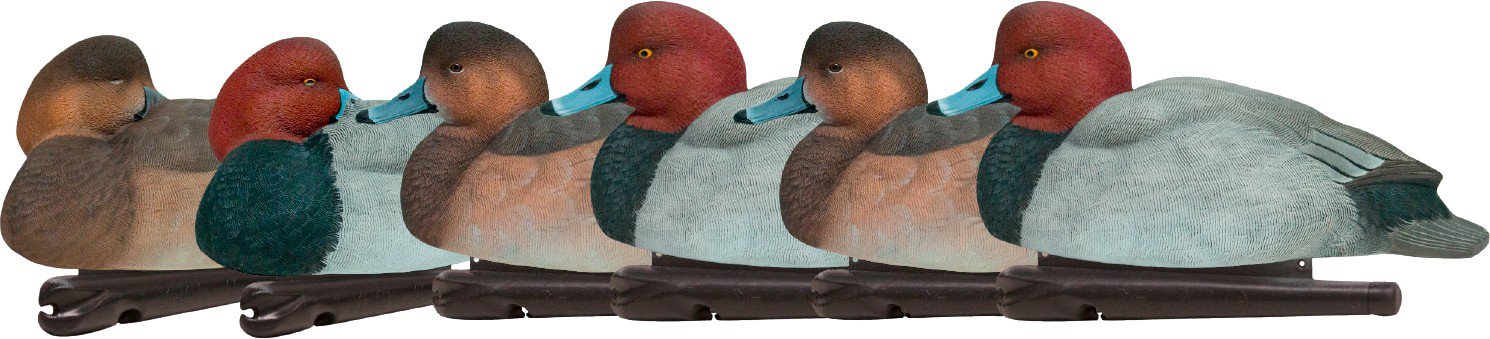 Avian-X Foam-Filled Redhead Decoys 6-Pack                                                                                       