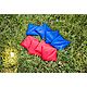 Triumph Sports USA 2' x 4' Bag Toss Game                                                                                         - view number 10 image
