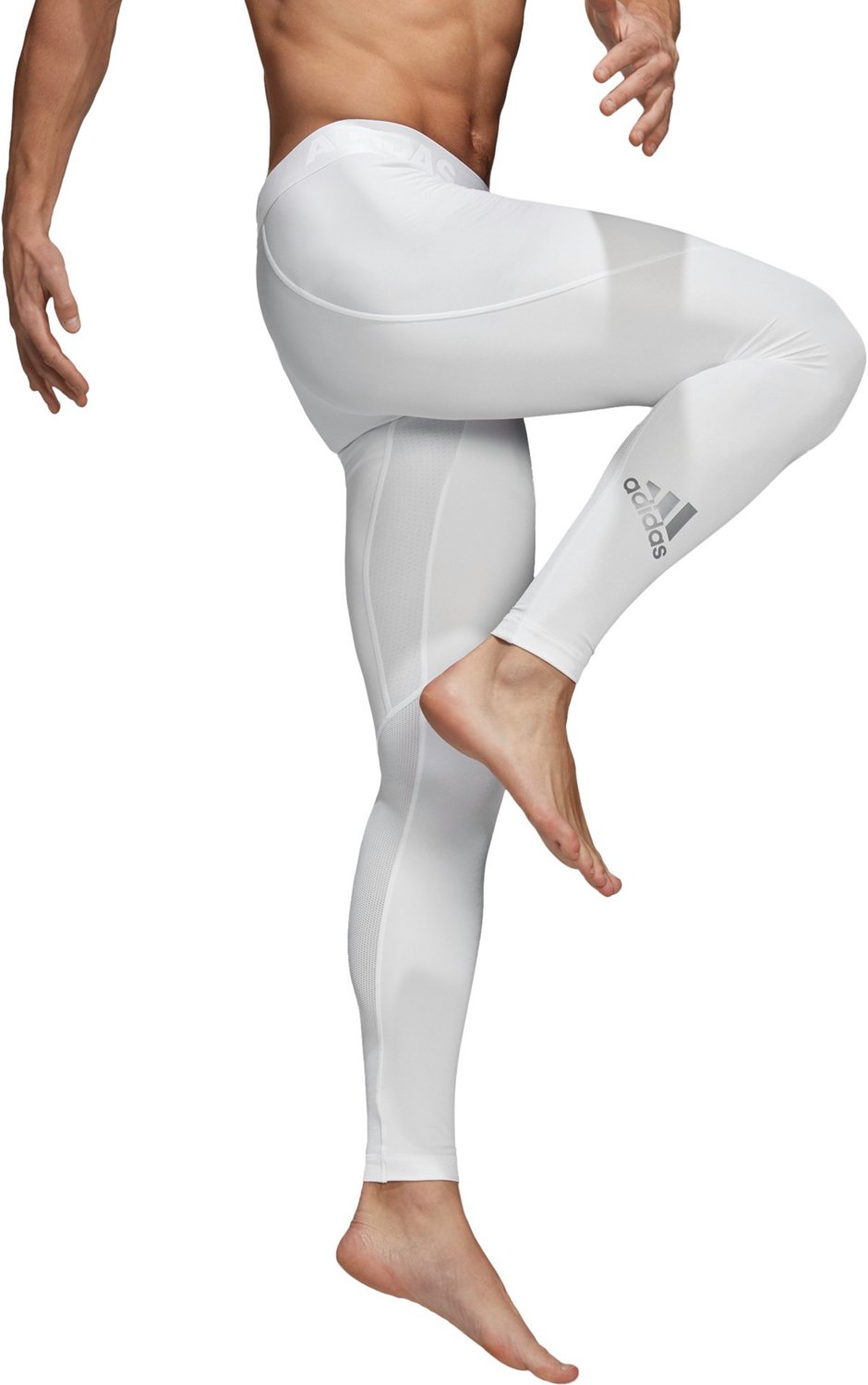 alphaskin sport long tights