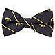 Eagles Wings Men's University of Iowa Oxford Bow Tie                                                                             - view number 1 image