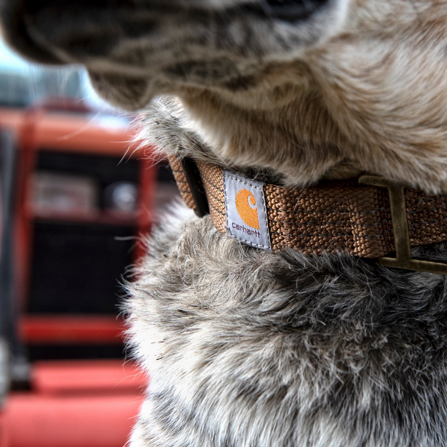 Carhartt Tradesman Dog Collar | Academy