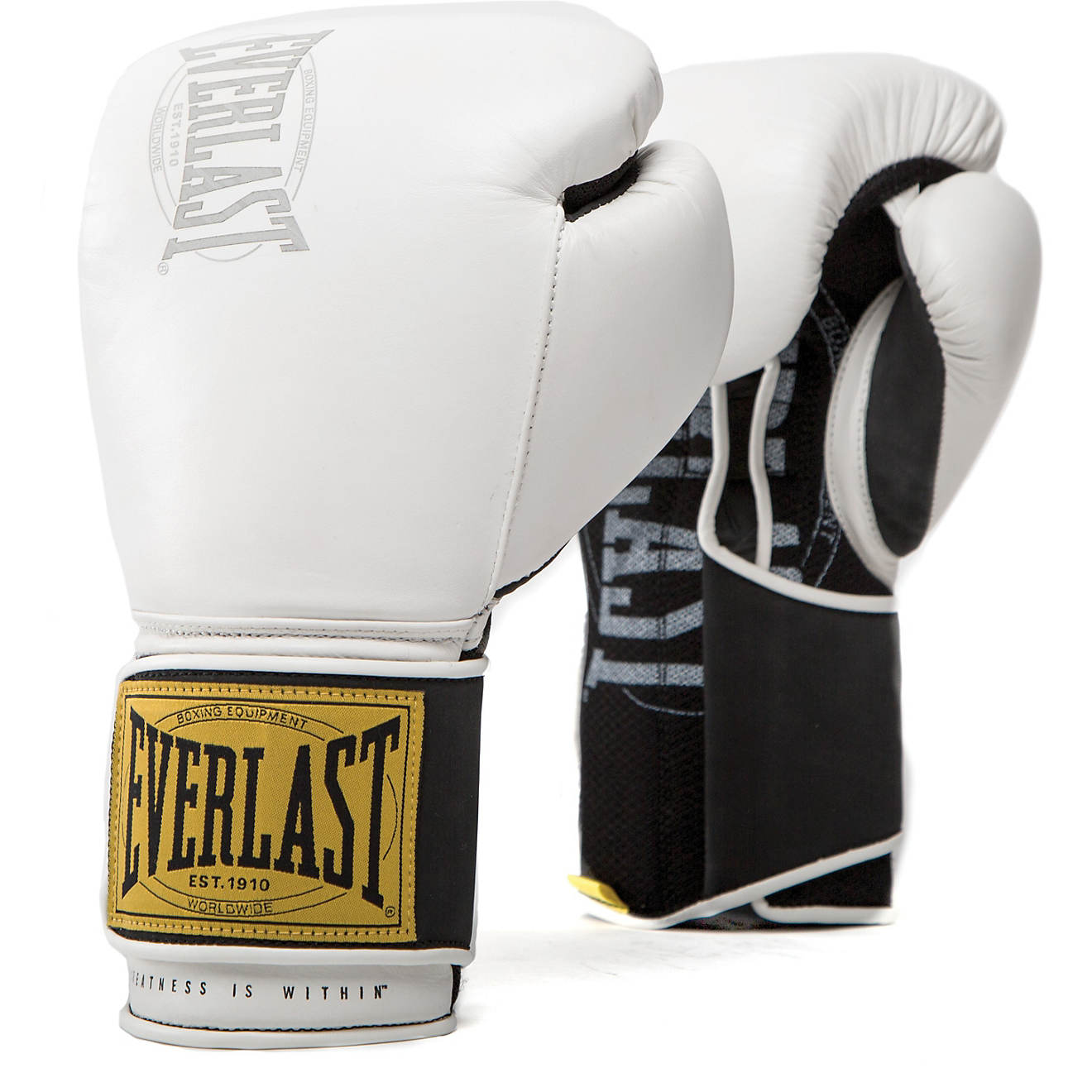 Everlast 1910 16 oz Leather Training Gloves                                                                                      - view number 1