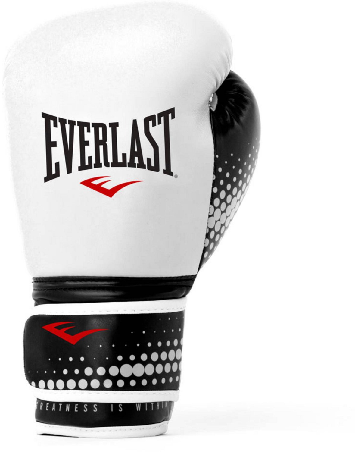 best everlast training gloves