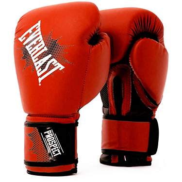 Everlast Youth Prospect Boxing Gloves                                                                                           