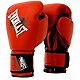 Everlast Youth Prospect Boxing Gloves                                                                                            - view number 1 image
