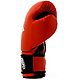 Everlast Youth Prospect Boxing Gloves                                                                                            - view number 3 image