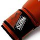 Everlast Youth Prospect Boxing Gloves                                                                                            - view number 5 image