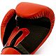 Everlast Youth Prospect Boxing Gloves                                                                                            - view number 6 image