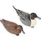 Game Winner FlexTuff Pintail Decoys 6-Pack                                                                                       - view number 1 image