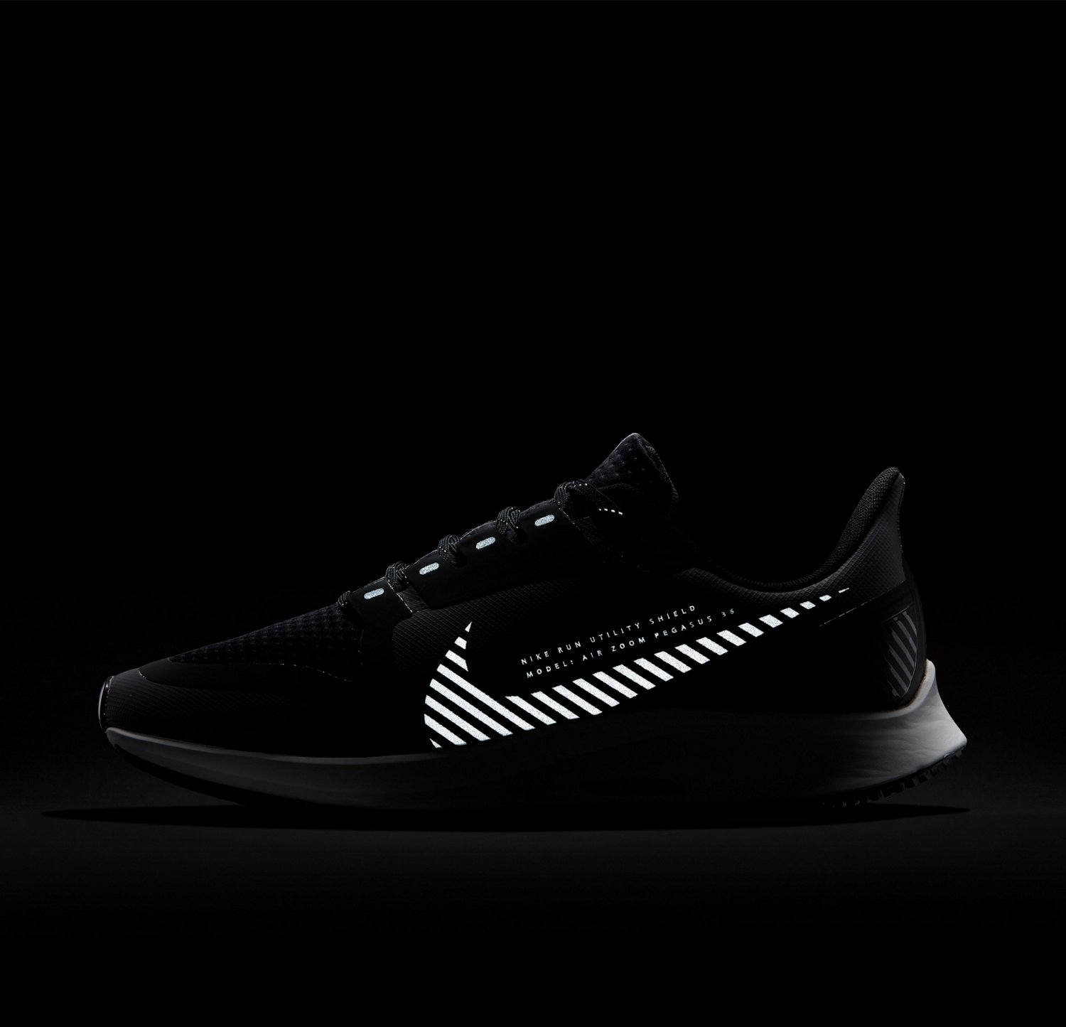 nike pegasus academy