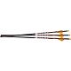 Ravin Match-Grade 400-Grain Lighted Arrows 3-Pack                                                                                - view number 1 image