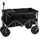 Academy Sports + Outdoors XL Sport Wagon with Cooler                                                                             - view number 1 image