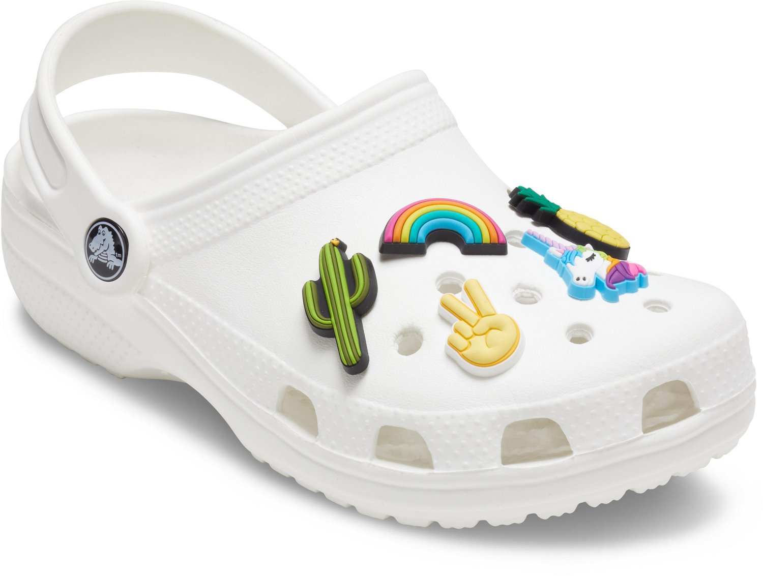 academy sports crocs