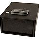 Hornady Security One Gun Biometric Safe                                                                                          - view number 1 image