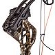 Bear Archery Species Compound Bow with Hunt Ready Package                                                                        - view number 10 image