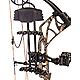 Bear Archery Species Compound Bow with Hunt Ready Package                                                                        - view number 8 image