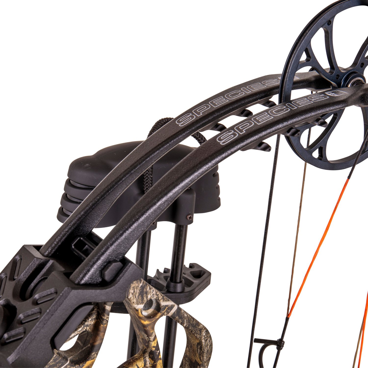Bear Archery Species Compound Bow with Hunt Ready Package Academy