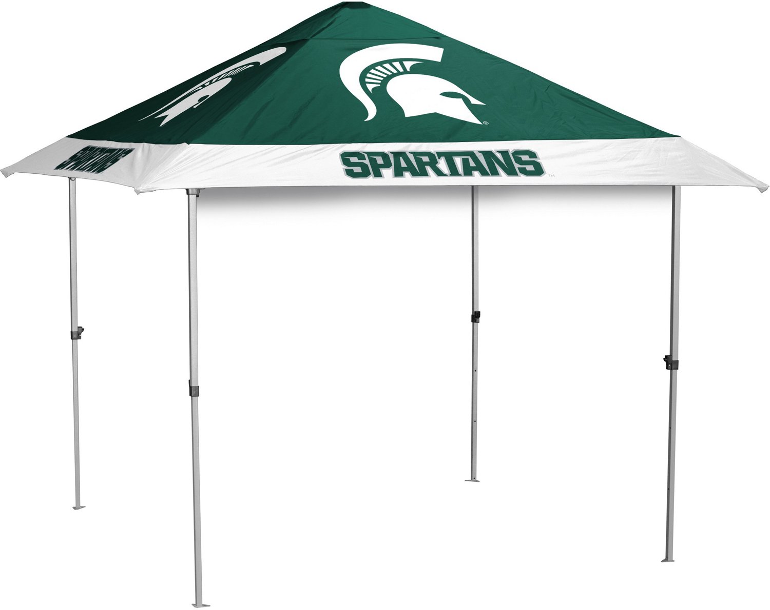 Logo Michigan State University Pagoda Canopy Academy