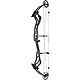 Bear Archery Revival Compound Bow                                                                                                - view number 1 image