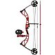 Cajun Bowfishing Shore Runner Ready to Fish Package                                                                              - view number 1 image