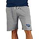 College Concept Men's Tennessee Titans Mainstream Shorts                                                                         - view number 1 image