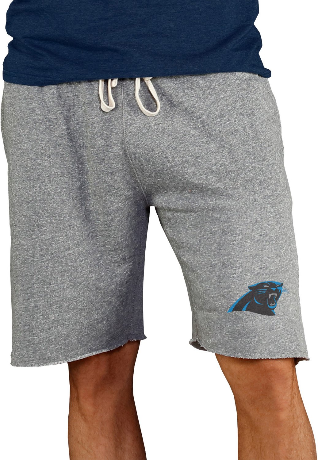 carolina panthers stuff