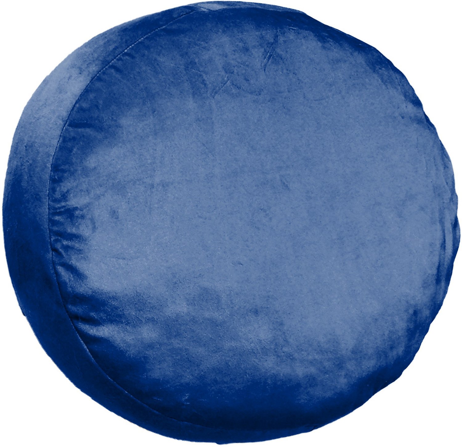 The Northwest Company Texas Rangers Cloud Sports Pillow Academy