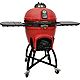 Vision Grills Pro Series Kamado Ceramic Charcoal Grill                                                                           - view number 1 image