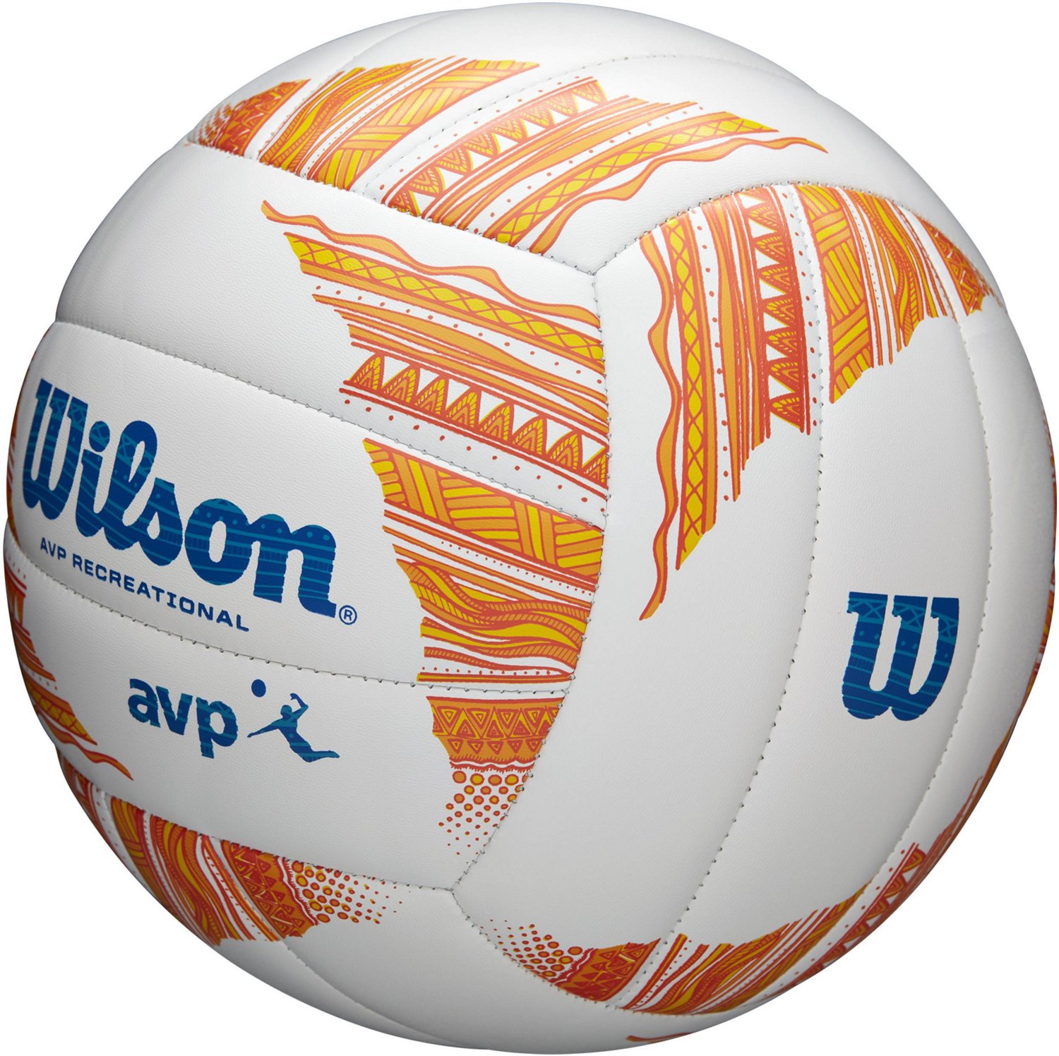 Wilson AVP Modern Volleyball Academy