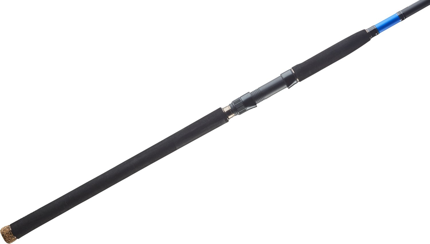 daiwa beefstick 10 ft
