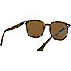 Ray-Ban Havana Polarized Sunglasses                                                                                              - view number 9 image