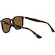 Ray-Ban Havana Polarized Sunglasses                                                                                              - view number 6 image