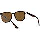 Ray-Ban Havana Polarized Sunglasses                                                                                              - view number 7 image