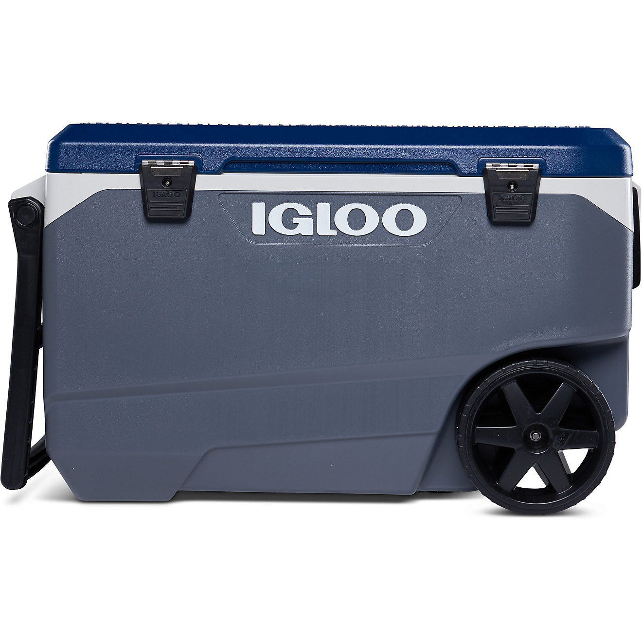 igloo latitude coolers