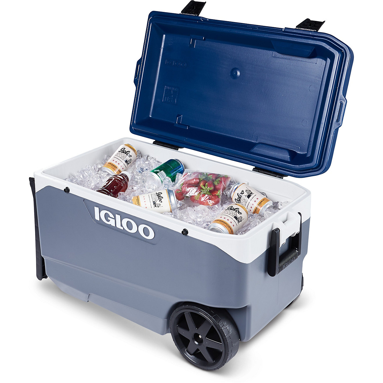 igloo latitude coolers