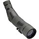 Leupold SX-4 Pro Guide HD 20 - 60x Angled Spotting Scope                                                                         - view number 2 image