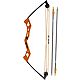 Bear Archery Youth Apprentice Bow Set                                                                                            - view number 3 image