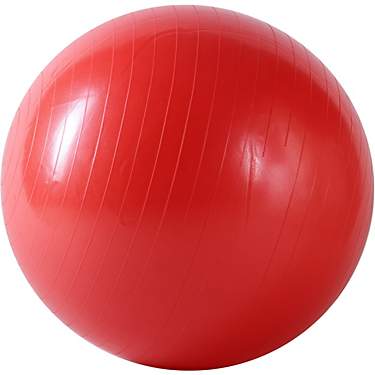 Sunny Health & Fitness 55 cm Antiburst Gym Ball                                                                                 