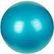 Sunny Health & Fitness 75 cm Antiburst Gym Ball                                                                                  - view number 1 image