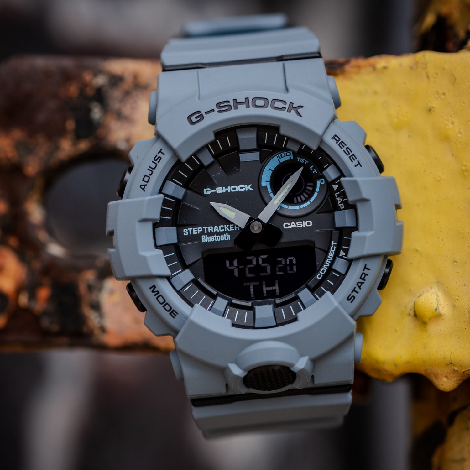 casio swim trainer