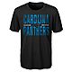 NFL Boys' Carolina Panthers Dri-Tek Ground Control T-shirt                                                                       - view number 1 image