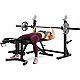 ProForm Sport Olympic Rack and Bench XT with 30-day iFit Subscription                                                            - view number 2 image