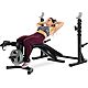 ProForm Sport Olympic Rack and Bench XT with 30-day iFit Subscription                                                            - view number 4 image