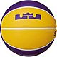 Nike Lebron James 4P Playground Basketball                                                                                       - view number 1 image