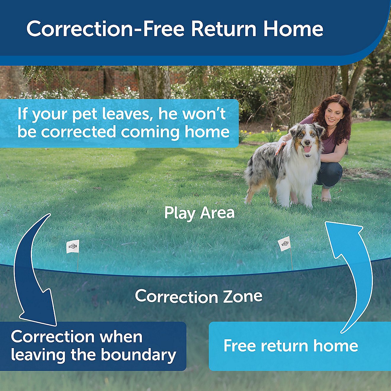 PetSafe Free to Roam Wireless Fence                                                                                              - view number 7
