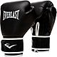 Everlast Core2 Training Boxing Gloves                                                                                            - view number 1 image