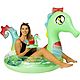 PoolCandy Seahorse Ride-On Pool Noodle                                                                                           - view number 2 image
