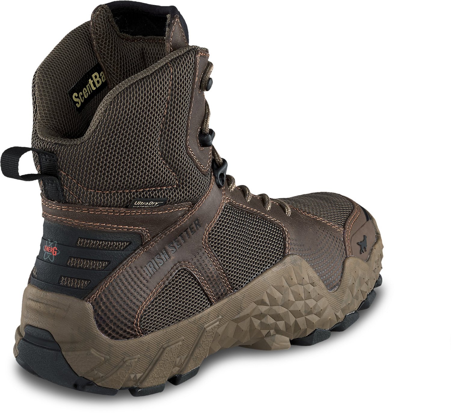irish setter 2830