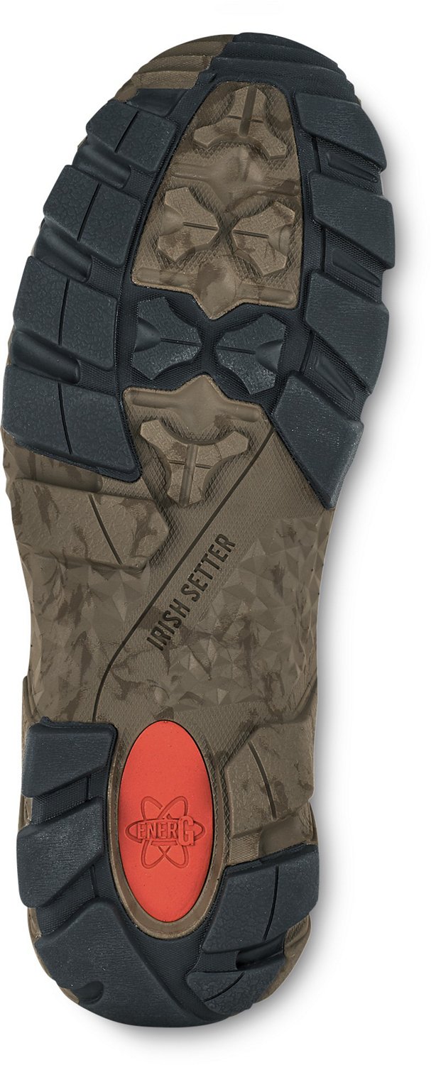 irish setter 2830