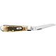 WR Case & Sons Cutlery Co 2-Blade Mini Trapper Pocket Knife                                                                      - view number 2 image